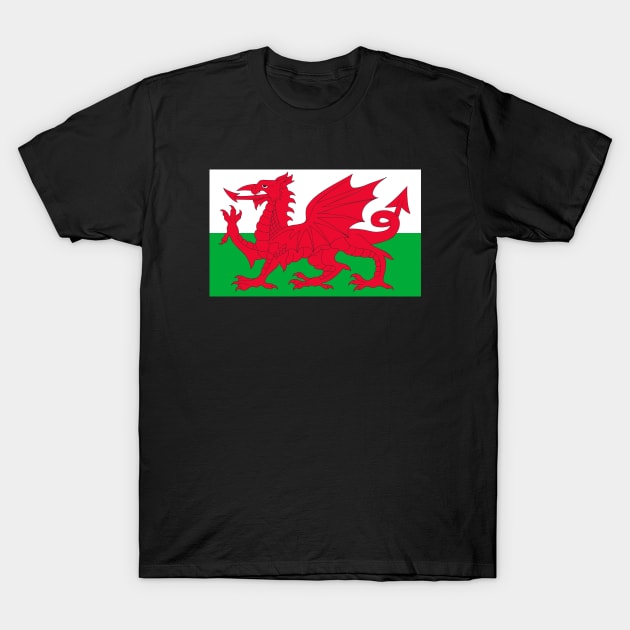 The Flag of Wales T-Shirt by DiegoCarvalho